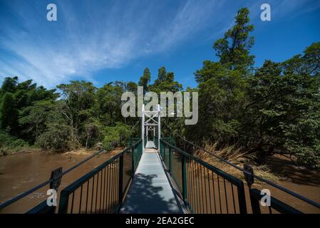 The suspension bridge in the Lowveld National Botanical Garden Stock Photo