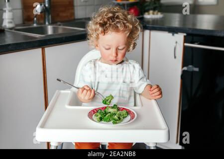 Cute adorable Caucasian curly kid boy sitting in high chair eating broccoli with fork. Healthy eating for kids children. Toddler eating independently. Stock Photo