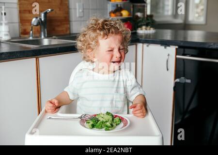 Crying Caucasian kid boy sitting in high chair with broccoli on plate. Child refusing eat healthy food. Toddler screaming in tantrum. Terrible two. Ca Stock Photo