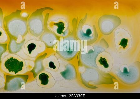 Abstract yellow and green paint background. Paint stains and splashes. Fluid art. Stock Photo