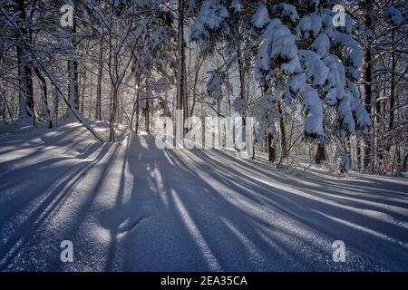 DE - BAVARIA: Winter scene on Kalvarienberg above Bad Toelz Stock Photo