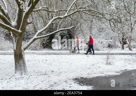 Walkers walking with dogs in the snow in forest during freezing weather in winter Stock Photo