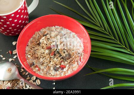 cup of coffee and oatmeal with nuts and dried fruits in red bowl on black table near green palm leaf. Perfect whole grain breakfast as organic food. Stock Photo