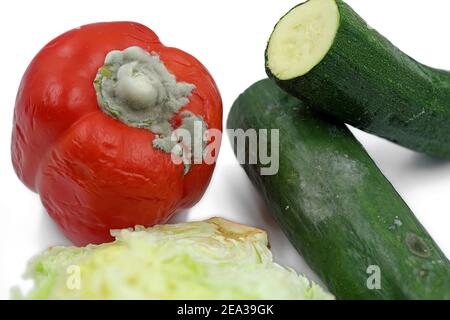 Rotten, moldy vegetables isolated on a white background, old pepper, cucumber, zucchini and lettuce with mold Stock Photo