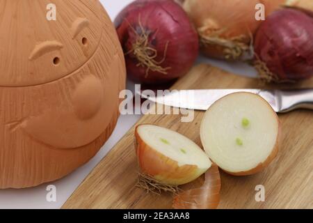 red an withe onions in a terracotta pot to be stored under dry conditions Stock Photo
