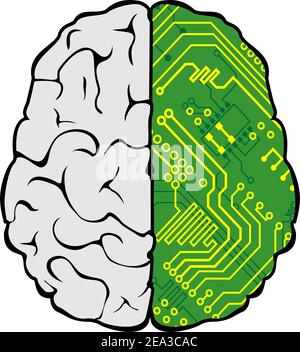 Brain with motherboard as a computer concept Stock Vector