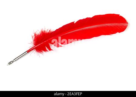 Antique pen with bird feather for writing love letter ink with copy space on white background Stock Photo