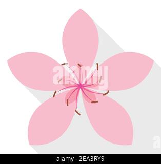 Beautiful cherry flower bloomed in flat style and long shadow, isolated over white background. Stock Vector