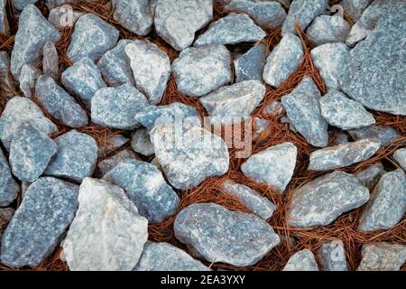 The texture of large rubble with dry yellowed needles between stones. Background of gray large rubble close up. Stock Photo