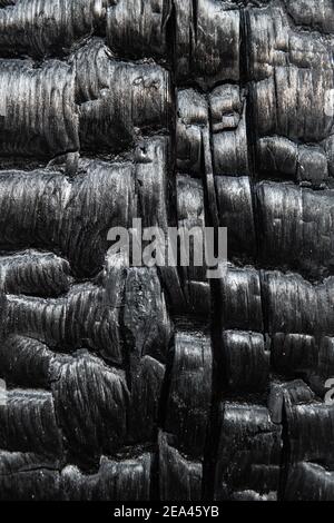 Burned wood texture close up. Stock Photo