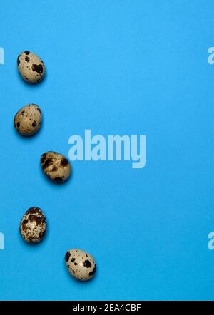 five fresh quail eggs on a blue background Stock Photo