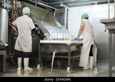 Full length portrait of two female workers pouring milk curdle and draining whey in workshop at cheesemaking factory, copy space Stock Photo