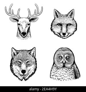 Set with cute black and white hand drawn portraits of forest animals and birds.  Stock Vector