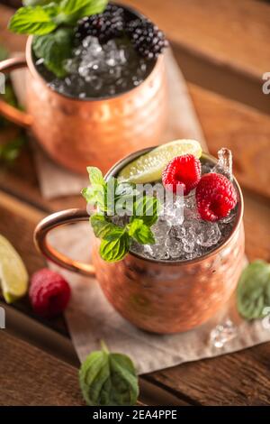Moscow Berry Mule highball vodka cocktail is a long drink with fresh lime juice, ginger beer and berries. Stock Photo