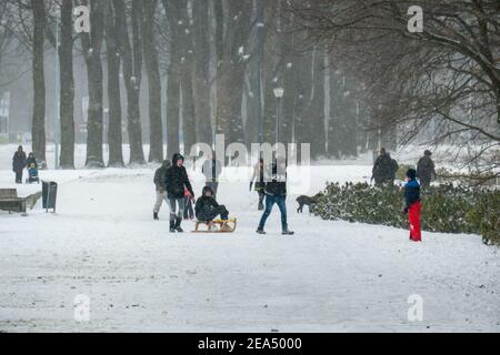 A boy riding a sleigh on the snow covered road. Blizzard from snow storm Darcy hits the Netherlands, the first heavy snowfall with intense strong winds after 2010. The country woke up on Sunday with a layer of snow covering everything. Many accidents occurred on the Dutch roads due to the storm and the icy condition, while there was a problem with trains as well. In the city of Eindhoven in North Brabant, rail and bus services stopped operating, the airport followed and air traffic was diverted. People went outside in the city center of Eindhoven to enjoy the white scenery and some used their Stock Photo