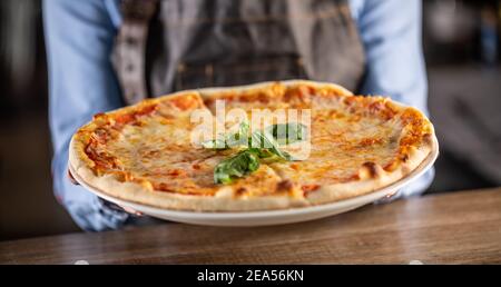 Quattro formaggi pizza with four types of cheeses, crusty edges and fresh basil on top. Stock Photo