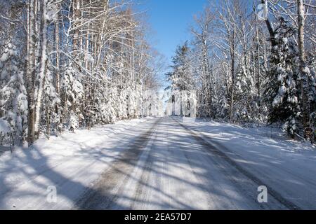 A snow covered road after a snow plow went through and trees that are snow covered. Stock Photo