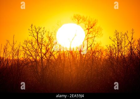 Sunset, winter solstic, December, Minnesota, USA, by Dominique Braud/Dembinsky Photo Assoc Stock Photo
