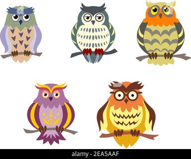 Color cartoon owls set in doodle style for funny design Stock Vector