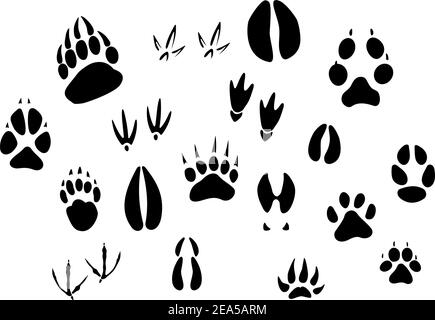 Animal - birds and mammals - footprints silhouettes set isolated on white background Stock Vector