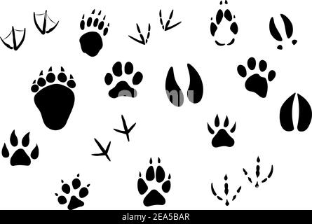 Animal footprints and tracks isolated on white for wildlife concept design Stock Vector