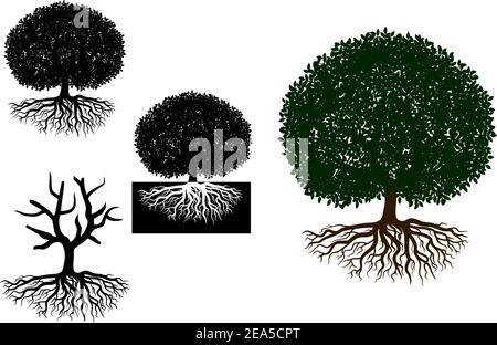 Big tree with roots for any nature or ecology design Stock Vector