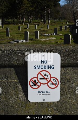 what are different types of tobacco U.S what are different types of tobacco U.S