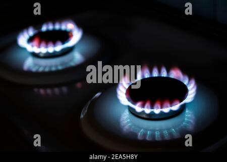 Burning gas burner in the darkness. The flame of a burning gas fire on a black background. Stock Photo