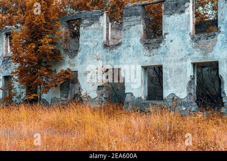 withering concept. the autumn nature has swallowed up the old ruined house Stock Photo