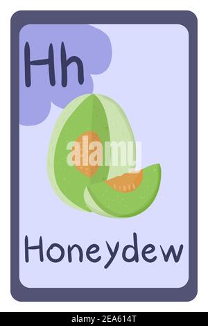 Abc food education flash card, Letter H - honeydew melon. Cartoon design template with colorful alphabet education card. Stock Vector