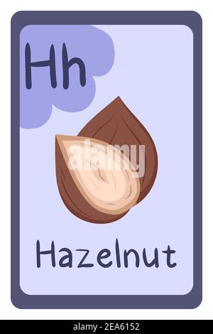Abc food education flash card, Letter H - hazelnut. Cartoon design template with colorful alphabet education card. Stock Vector