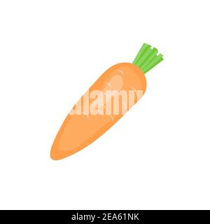 Carrot vector art Stock Vector