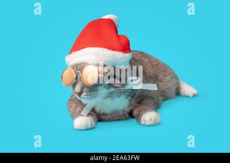 Funny cat in a Christmas Santa Claus hat and sunglasses on a blue background in the Studio. The concept of celebrating the new year party and fashoin Stock Photo