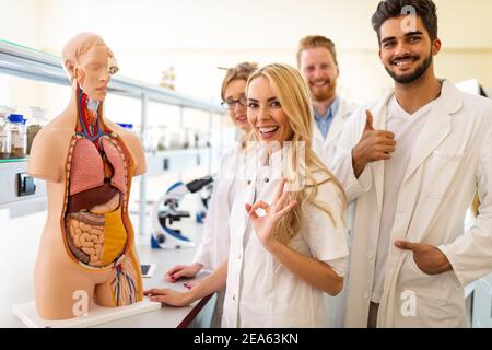 Students of medicine examining anatomical model in classroom Stock Photo