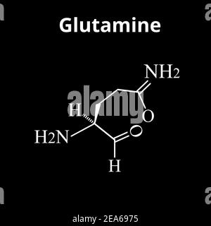 The amino acid Glutamine. Amino acid glutamine chemical molecular formula. Vector illustration on isolated background Stock Vector