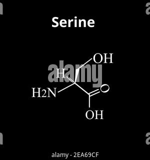 Serine amino acid. Chemical molecular formula Serine amino acid. Vector illustration on isolated background Stock Vector