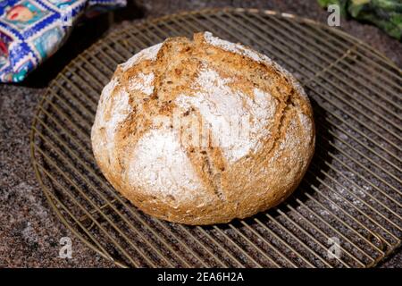 freshly baked sourdough bread Stock Photo
