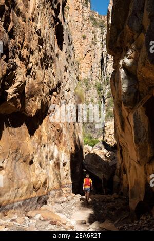 Hiking / kloofing to Cedar Falls, Baviaanskloof, South Africa