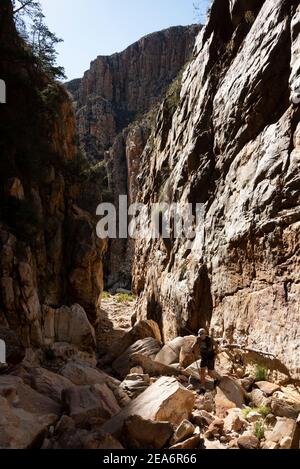 Hiking / kloofing to Cedar Falls, Baviaanskloof, South Africa