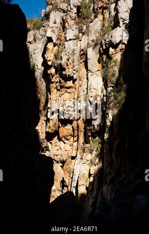 Hiking / kloofing to Cedar Falls, Baviaanskloof, South Africa