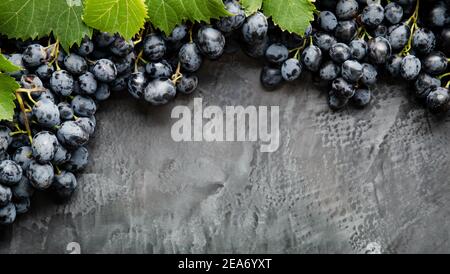Frame made of grapes. Black juicy grapes on vintage dark concrete background. Copy space for text or menu on black scuffed background. Frame Border Stock Photo