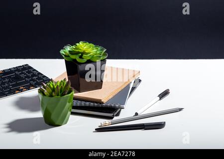 Computer notepads and succulent flowers. Keyboard stationery at home office workplace for remote work. White home office table with copy space on Stock Photo