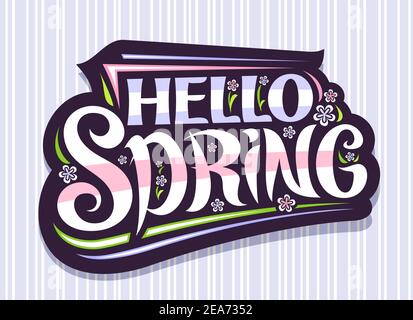 Vector lettering Hello Spring, dark badge with unique curly calligraphic font, decorative flourishes, illustration of spring flowers, greeting card wi Stock Vector