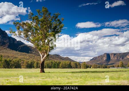 Hunter Valley Landscape in Australia Stock Photo