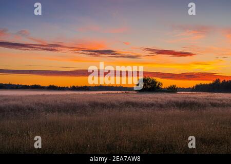 Orange sunset over a foggy meadow with a grove of trees and clouds in Jutland, Denmark Stock Photo