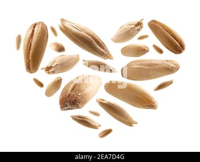 Oat grains in the shape of a heart on a white background Stock Photo
