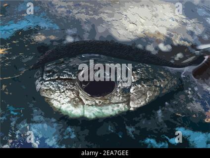 vector illustration of the eye of a dragon, a mythical creature Stock Vector