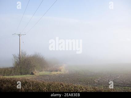 A lone telegraph pole stands in a muddy field covered with fog. Stock Photo