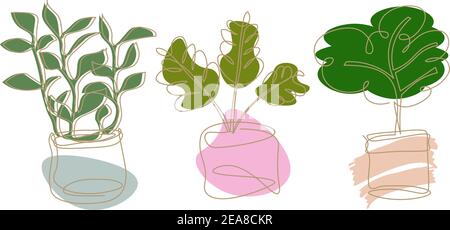 Set of three icons with abstract house plants drawing in minimal style Stock Vector