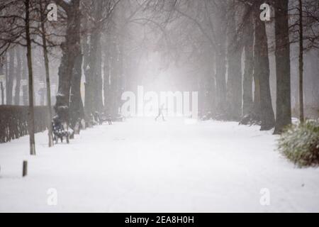 Berlin, Berlin, Germany. 8th Feb, 2021. The silhouette of a skier can be seen in Tiergarten Park during snowfall in Central Berlin. The German Weather Service warns of heavy snowfall with wind drifts at temperatures reaching levels well below the freezing point. Credit: Jan Scheunert/ZUMA Wire/Alamy Live News Stock Photo